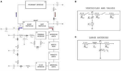 Mechanism-Driven Modeling to Aid Non-invasive Monitoring of Cardiac Function via Ballistocardiography